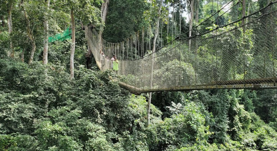 Bunso Arboretum, Bunso, Ghana, Ghana